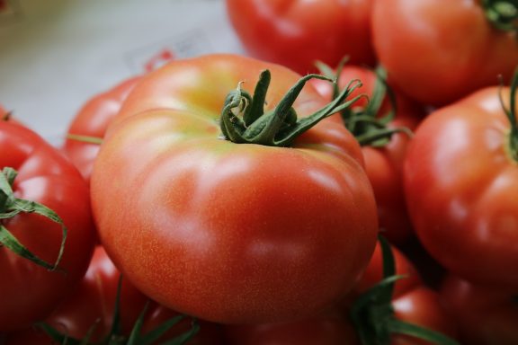 Tomates rosas